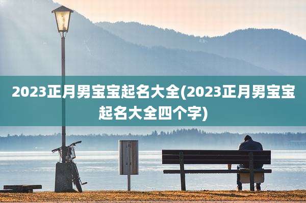 2023正月男宝宝起名大全(2023正月男宝宝起名大全四个字)