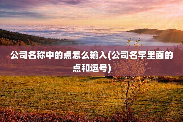 公司名称中的点怎么输入(公司名字里面的点和逗号)