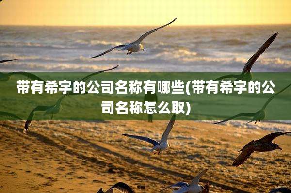 带有希字的公司名称有哪些(带有希字的公司名称怎么取)