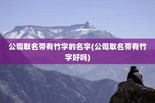 公司取名带有竹字的名字(公司取名带有竹字好吗)