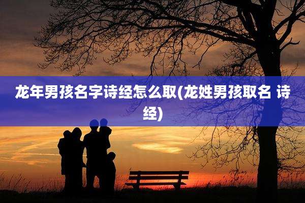 龙年男孩名字诗经怎么取(龙姓男孩取名 诗经)