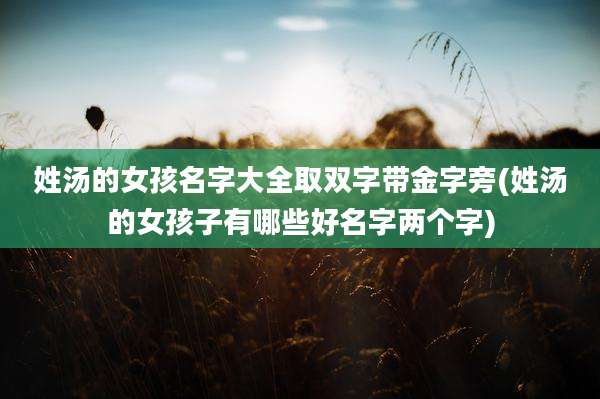 姓汤的女孩名字大全取双字带金字旁(姓汤的女孩子有哪些好名字两个字)