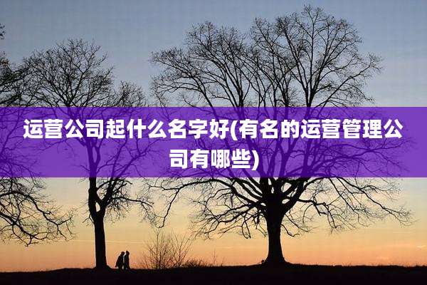 运营公司起什么名字好(有名的运营管理公司有哪些)