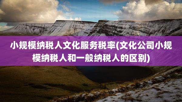 小规模纳税人文化服务税率(文化公司小规模纳税人和一般纳税人的区别)