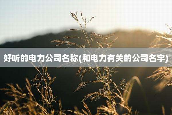 好听的电力公司名称(和电力有关的公司名字)