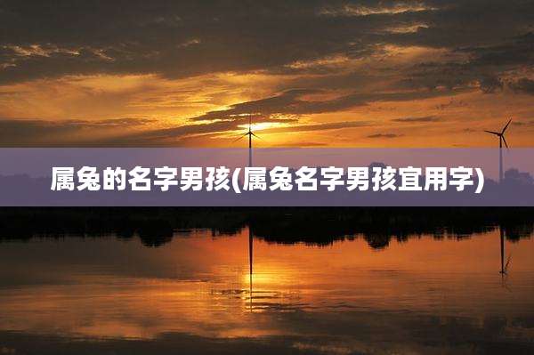 属兔的名字男孩(属兔名字男孩宜用字)
