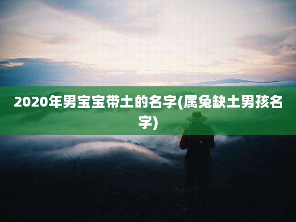 2020年男宝宝带土的名字(属兔缺土男孩名字)