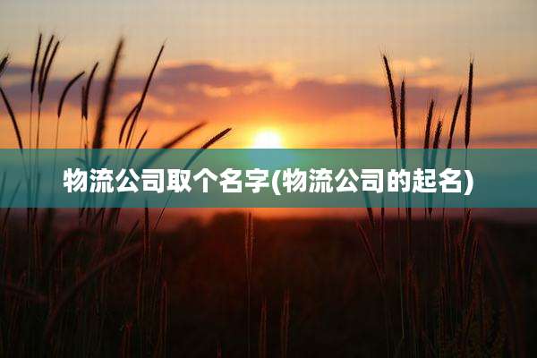 物流公司取个名字(物流公司的起名)