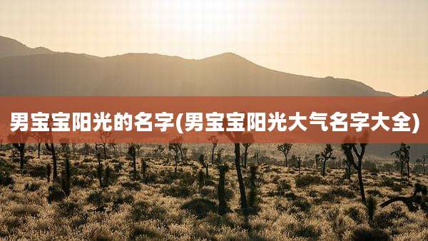 男宝宝阳光的名字(男宝宝阳光大气名字大全)