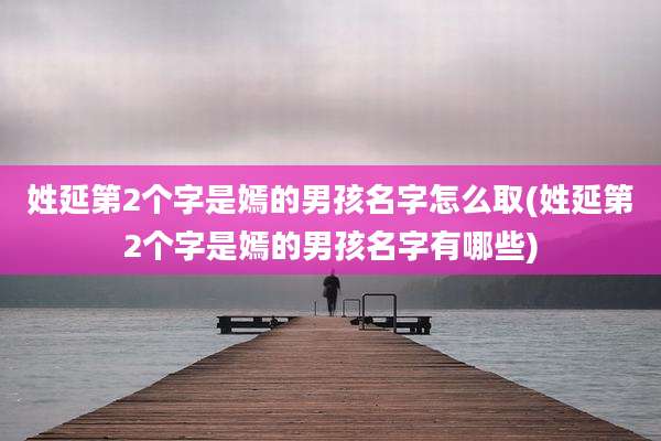 姓延第2个字是嫣的男孩名字怎么取(姓延第2个字是嫣的男孩名字有哪些)