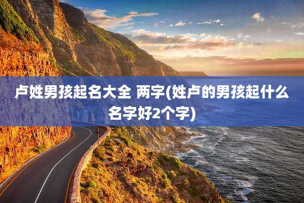 卢姓男孩起名大全 两字(姓卢的男孩起什么名字好2个字)