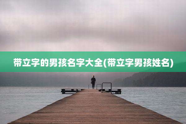 带立字的男孩名字大全(带立字男孩姓名)