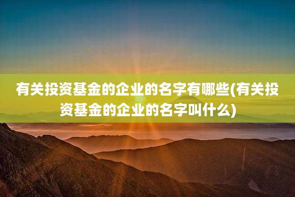 有关投资基金的企业的名字有哪些(有关投资基金的企业的名字叫什么)