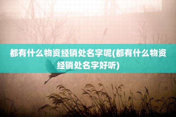 都有什么物资经销处名字呢(都有什么物资经销处名字好听)