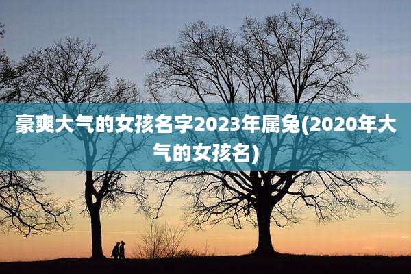 豪爽大气的女孩名字2023年属兔(2020年大气的女孩名)