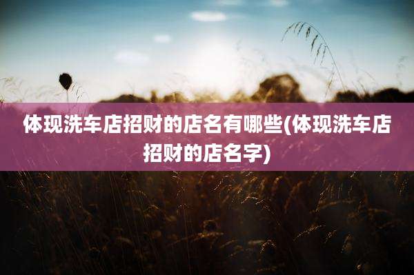 体现洗车店招财的店名有哪些(体现洗车店招财的店名字)