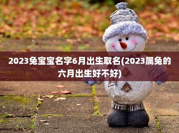2023兔宝宝名字6月出生取名(2023属兔的六月出生好不好)