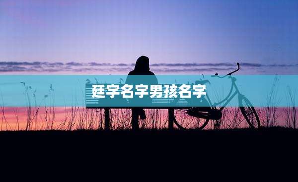 廷字名字男孩名字