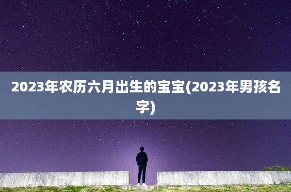 2023年农历六月出生的宝宝(2023年男孩名字)