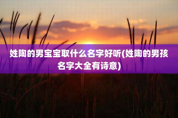 姓陶的男宝宝取什么名字好听(姓陶的男孩名字大全有诗意)
