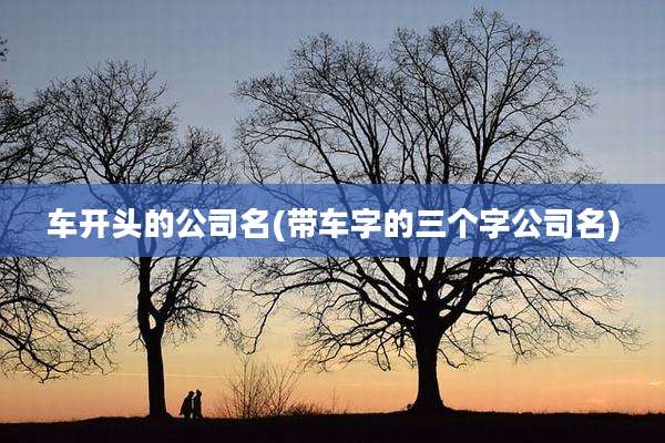 车开头的公司名(带车字的三个字公司名)