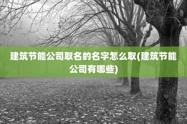 建筑节能公司取名的名字怎么取(建筑节能公司有哪些)