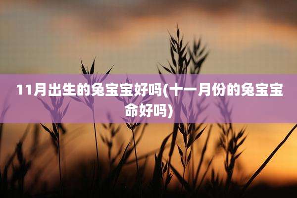 11月出生的兔宝宝好吗(十一月份的兔宝宝命好吗)