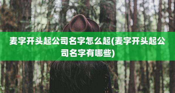 麦字开头起公司名字怎么起(麦字开头起公司名字有哪些)