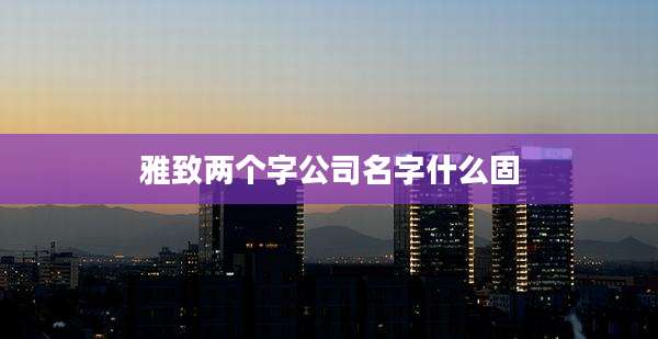 雅致两个字公司名字什么固