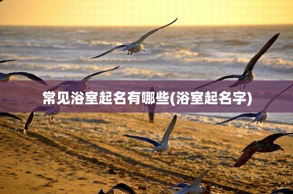 常见浴室起名有哪些(浴室起名字)