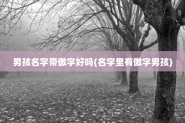 男孩名字带傲字好吗(名字里有傲字男孩)