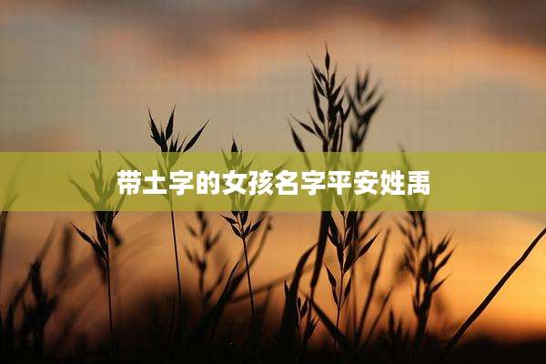 带土字的女孩名字平安姓禹
