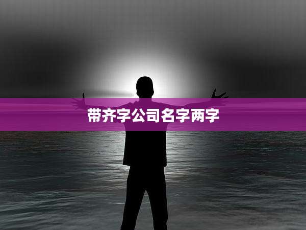 带齐字公司名字两字