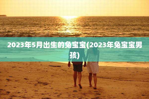 2023年5月出生的兔宝宝(2023年兔宝宝男孩)