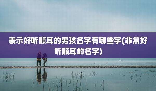 表示好听顺耳的男孩名字有哪些字(非常好听顺耳的名字)