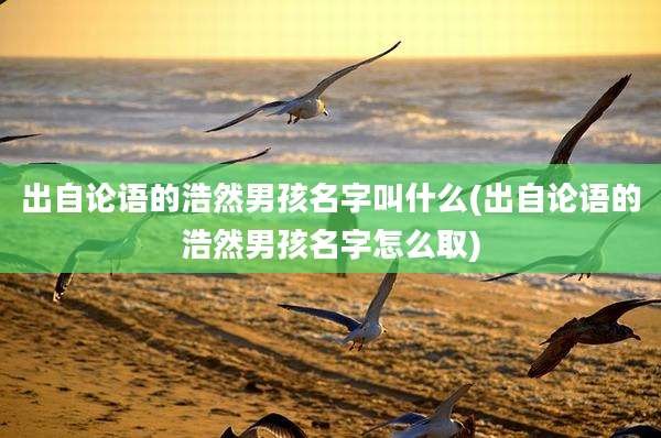 出自论语的浩然男孩名字叫什么(出自论语的浩然男孩名字怎么取)