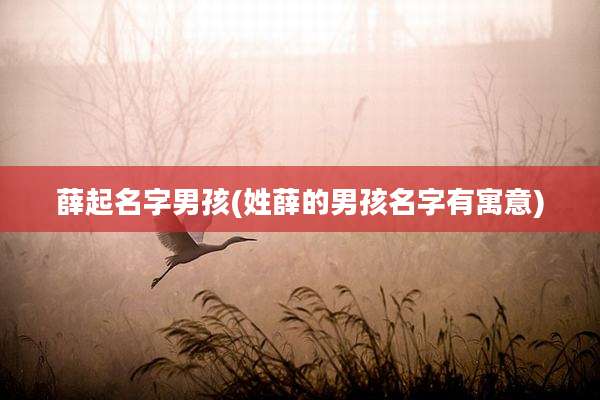 薛起名字男孩(姓薛的男孩名字有寓意)