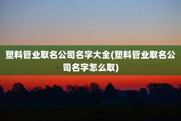 塑料管业取名公司名字大全(塑料管业取名公司名字怎么取)