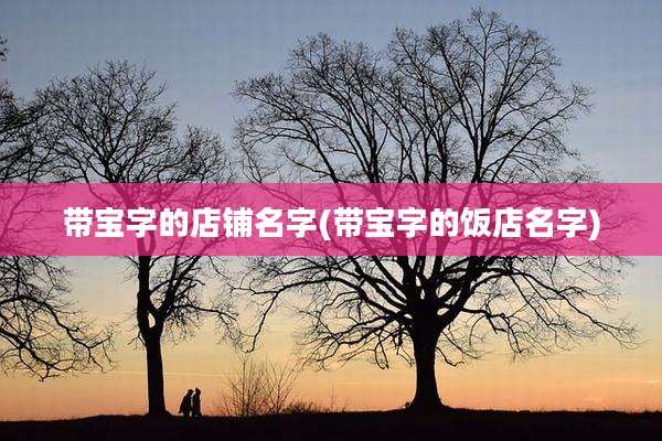 带宝字的店铺名字(带宝字的饭店名字)