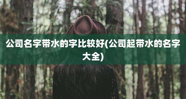 公司名字带水的字比较好(公司起带水的名字大全)