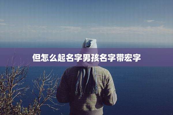 但怎么起名字男孩名字带宏字