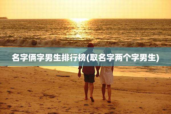 名字俩字男生排行榜(取名字两个字男生)