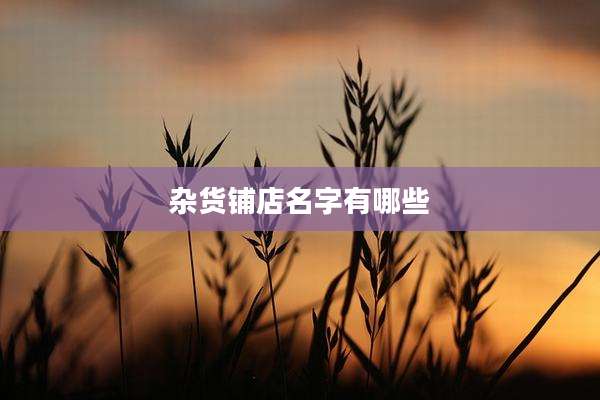 杂货铺店名字有哪些