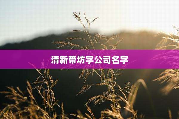 清新带坊字公司名字