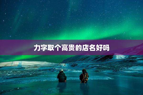 力字取个高贵的店名好吗