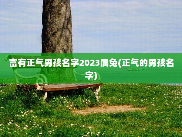富有正气男孩名字2023属兔(正气的男孩名字)