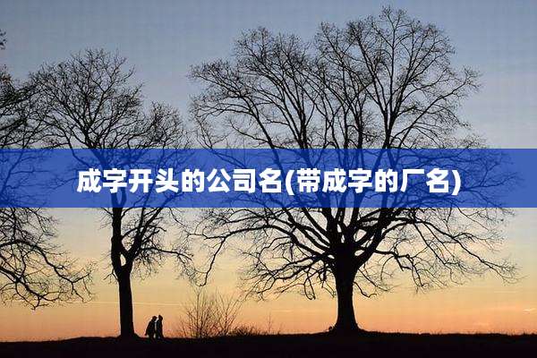 成字开头的公司名(带成字的厂名)