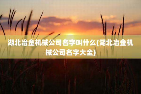 湖北冶金机械公司名字叫什么(湖北冶金机械公司名字大全)