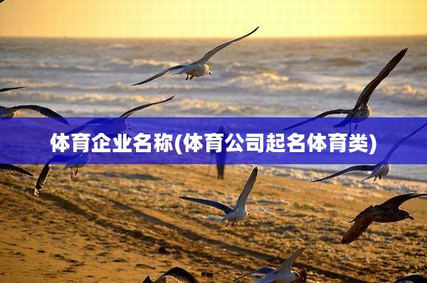 体育企业名称(体育公司起名体育类)