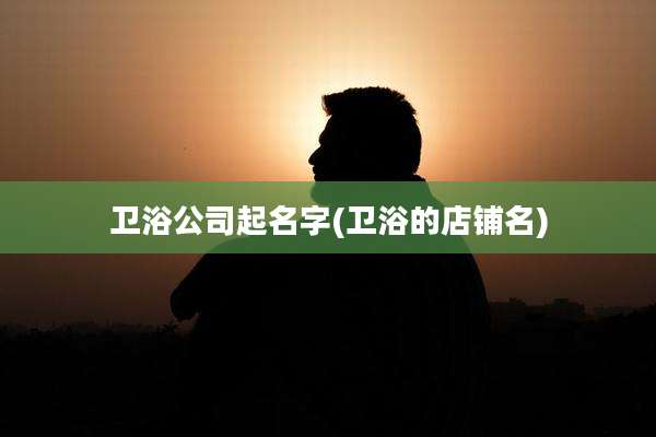 卫浴公司起名字(卫浴的店铺名)